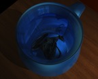 Cup24small.png